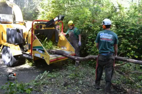 tree services Snowflake